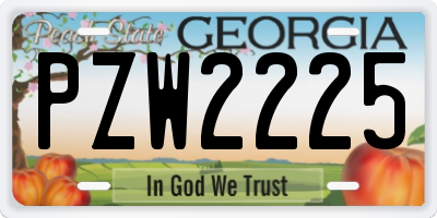 GA license plate PZW2225
