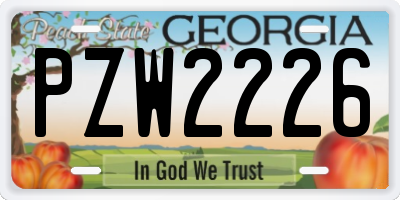 GA license plate PZW2226