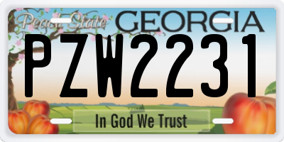GA license plate PZW2231