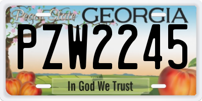 GA license plate PZW2245