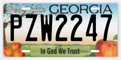 GA license plate PZW2247