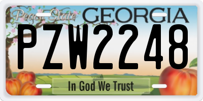 GA license plate PZW2248