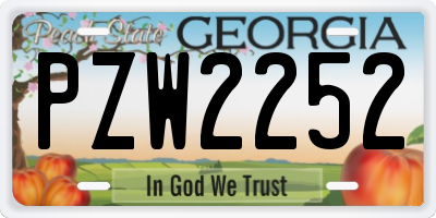 GA license plate PZW2252