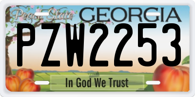 GA license plate PZW2253