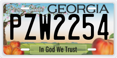 GA license plate PZW2254