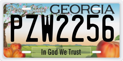 GA license plate PZW2256