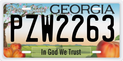 GA license plate PZW2263