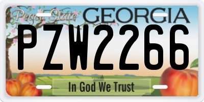 GA license plate PZW2266