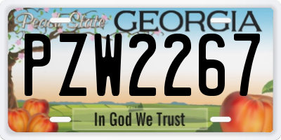 GA license plate PZW2267