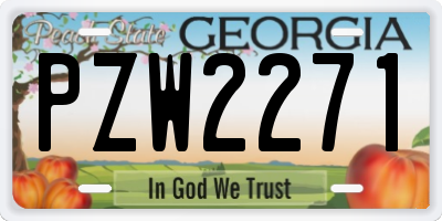 GA license plate PZW2271