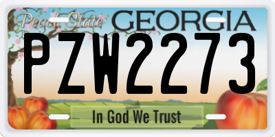 GA license plate PZW2273