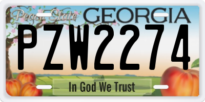 GA license plate PZW2274