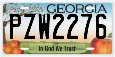 GA license plate PZW2276