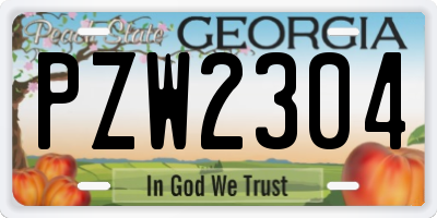 GA license plate PZW2304