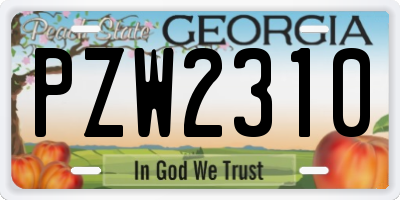 GA license plate PZW2310