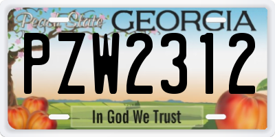GA license plate PZW2312