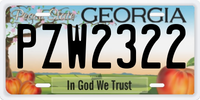 GA license plate PZW2322