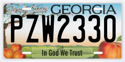 GA license plate PZW2330