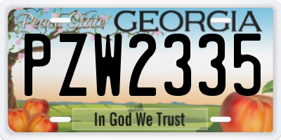 GA license plate PZW2335