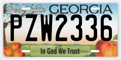 GA license plate PZW2336