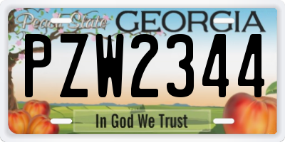 GA license plate PZW2344