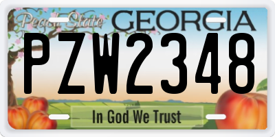 GA license plate PZW2348