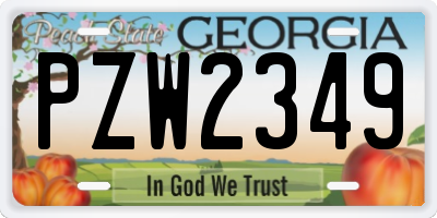 GA license plate PZW2349