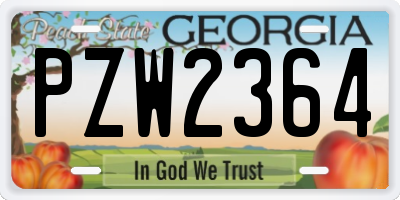 GA license plate PZW2364