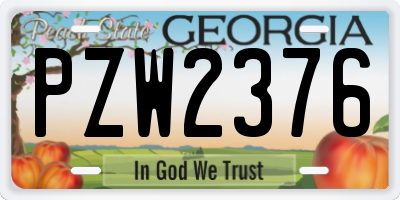 GA license plate PZW2376