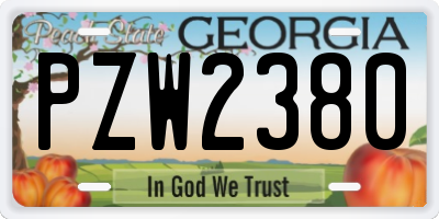 GA license plate PZW2380
