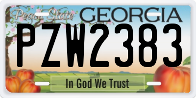 GA license plate PZW2383