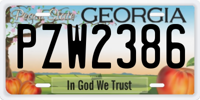 GA license plate PZW2386
