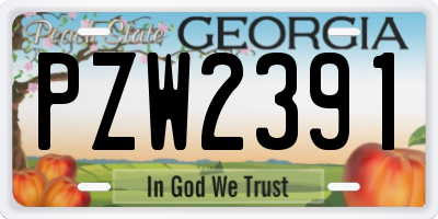 GA license plate PZW2391