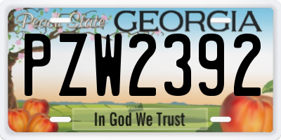 GA license plate PZW2392