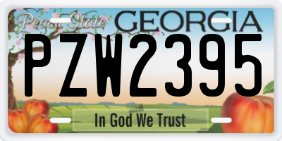 GA license plate PZW2395