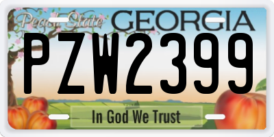 GA license plate PZW2399