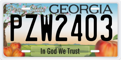 GA license plate PZW2403