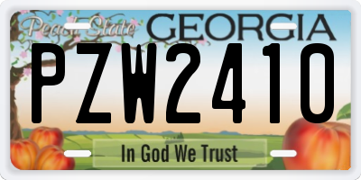 GA license plate PZW2410