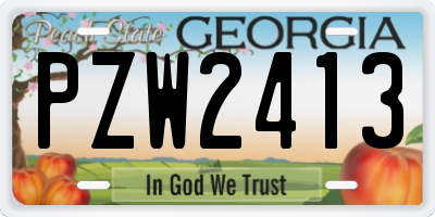 GA license plate PZW2413