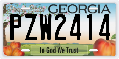 GA license plate PZW2414