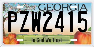 GA license plate PZW2415