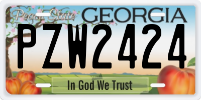 GA license plate PZW2424