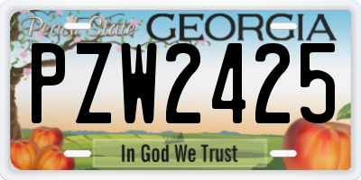 GA license plate PZW2425