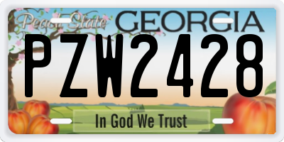 GA license plate PZW2428
