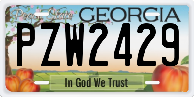 GA license plate PZW2429