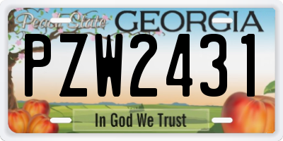 GA license plate PZW2431