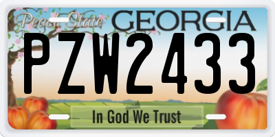 GA license plate PZW2433