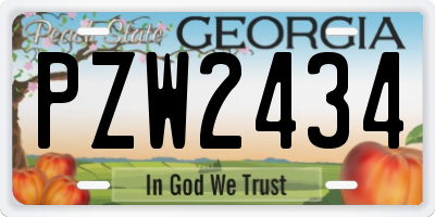 GA license plate PZW2434