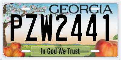 GA license plate PZW2441