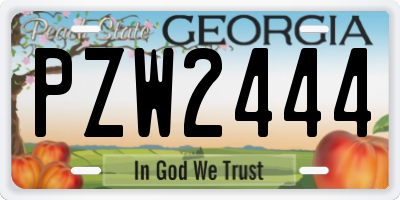 GA license plate PZW2444